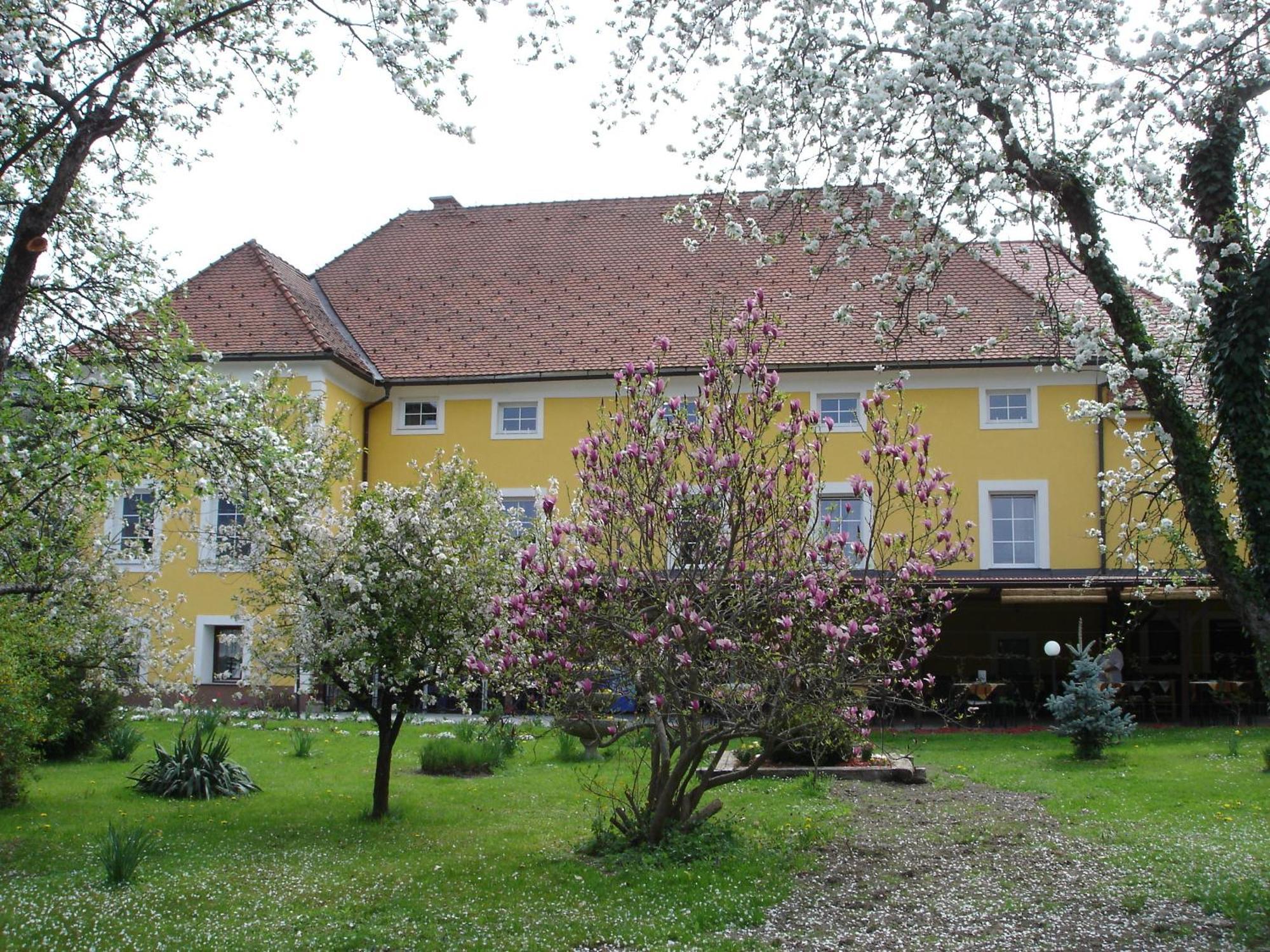 Guest House Cater Laško Eksteriør bilde